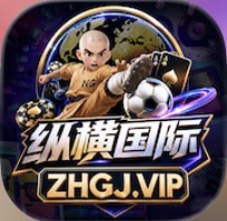 纵横国际